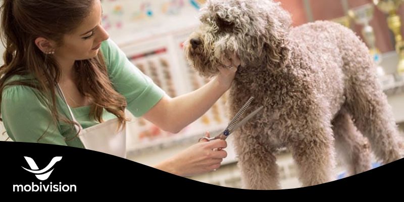 ngach-affiliate-cham-soc-thu-cung